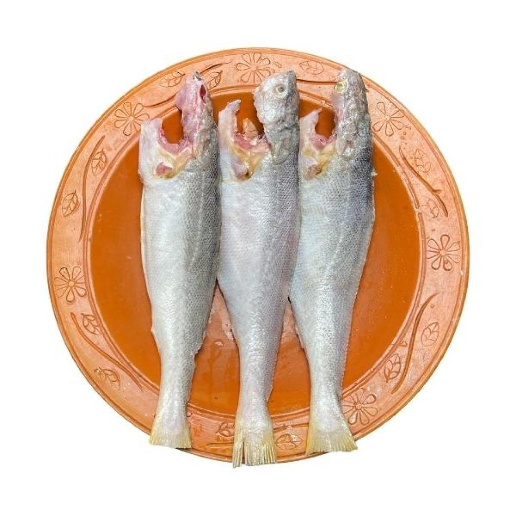 পোয়া মাছ